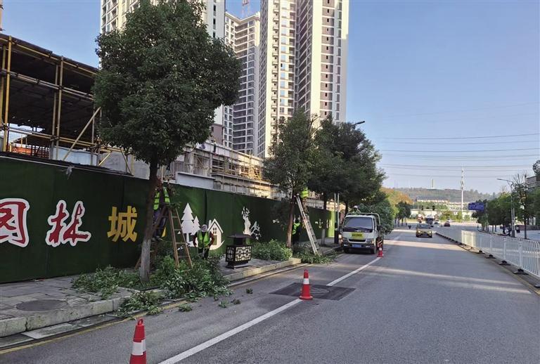 關于《這些樹該修剪了》的回復